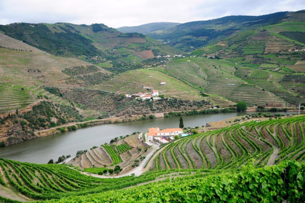 Hotel Rural Quinta do Pégo