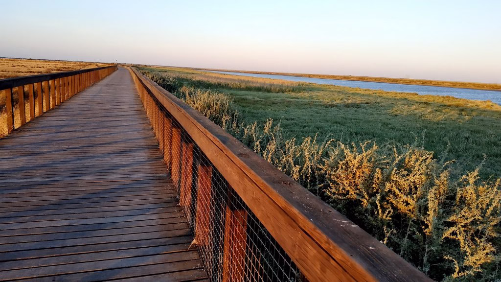 passadiço do tejo