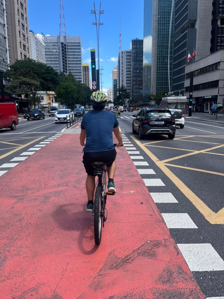 São Paulo - Guia do Brasil